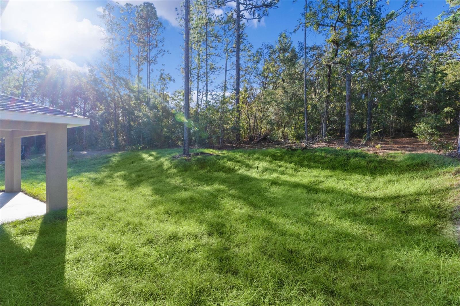 Listing photo id 32 for 7957 Primrose Drive