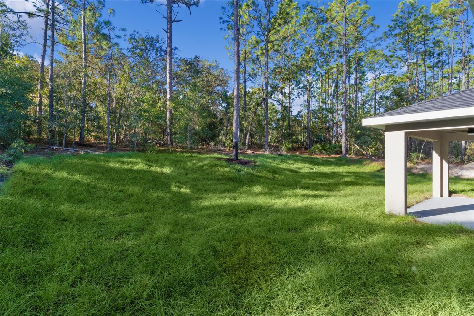 Listing photo id 33 for 7957 Primrose Drive