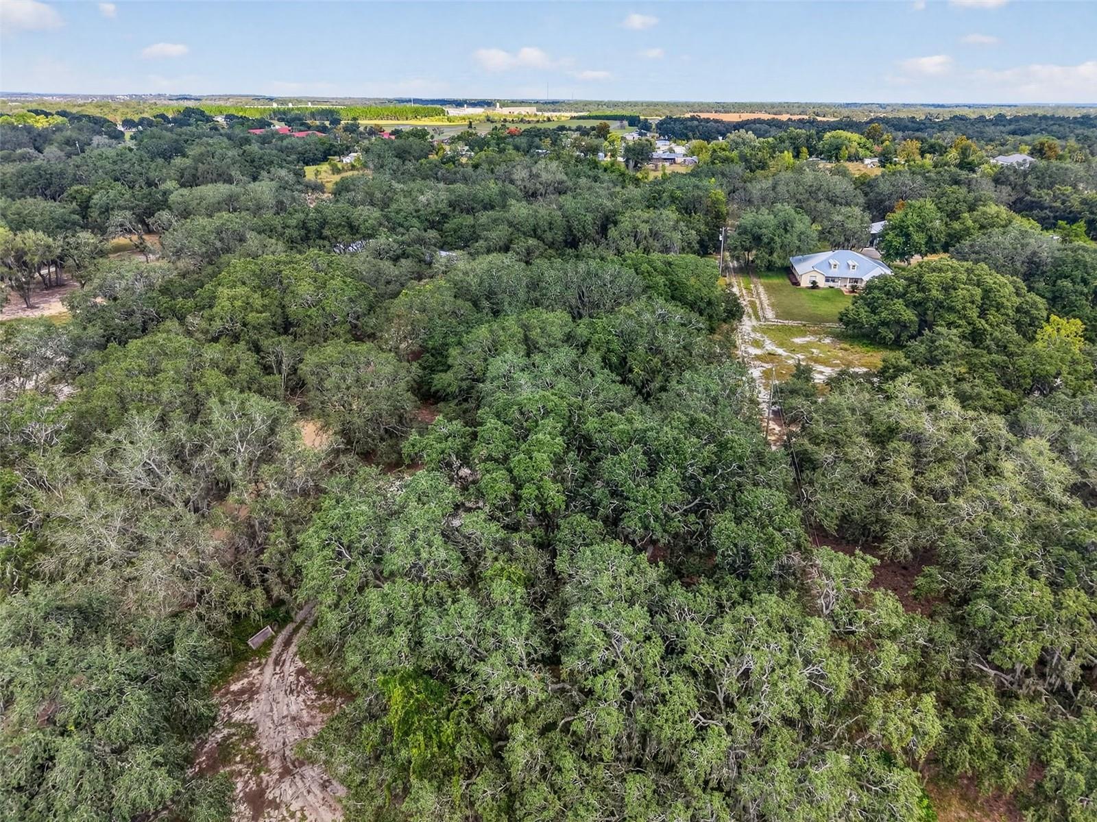 Image 10 of 10 For Gan Eden Drive