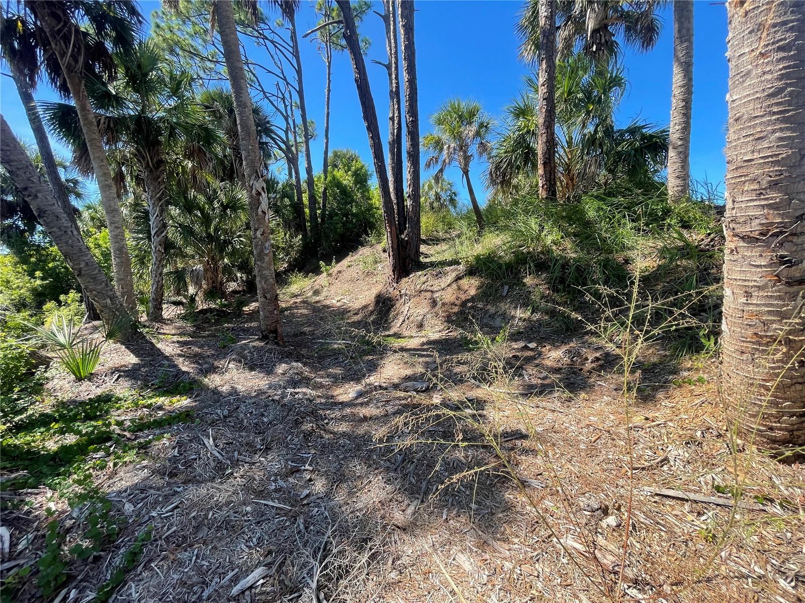 Image 10 of 22 For 1221 Underhill Circle