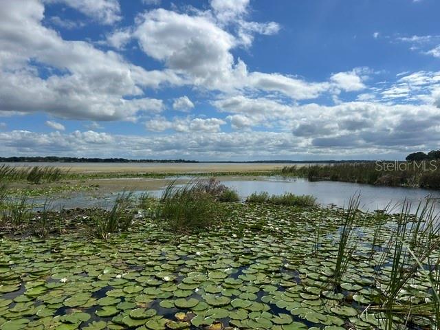 Image 29 of 32 For 2316 Griffin Drive