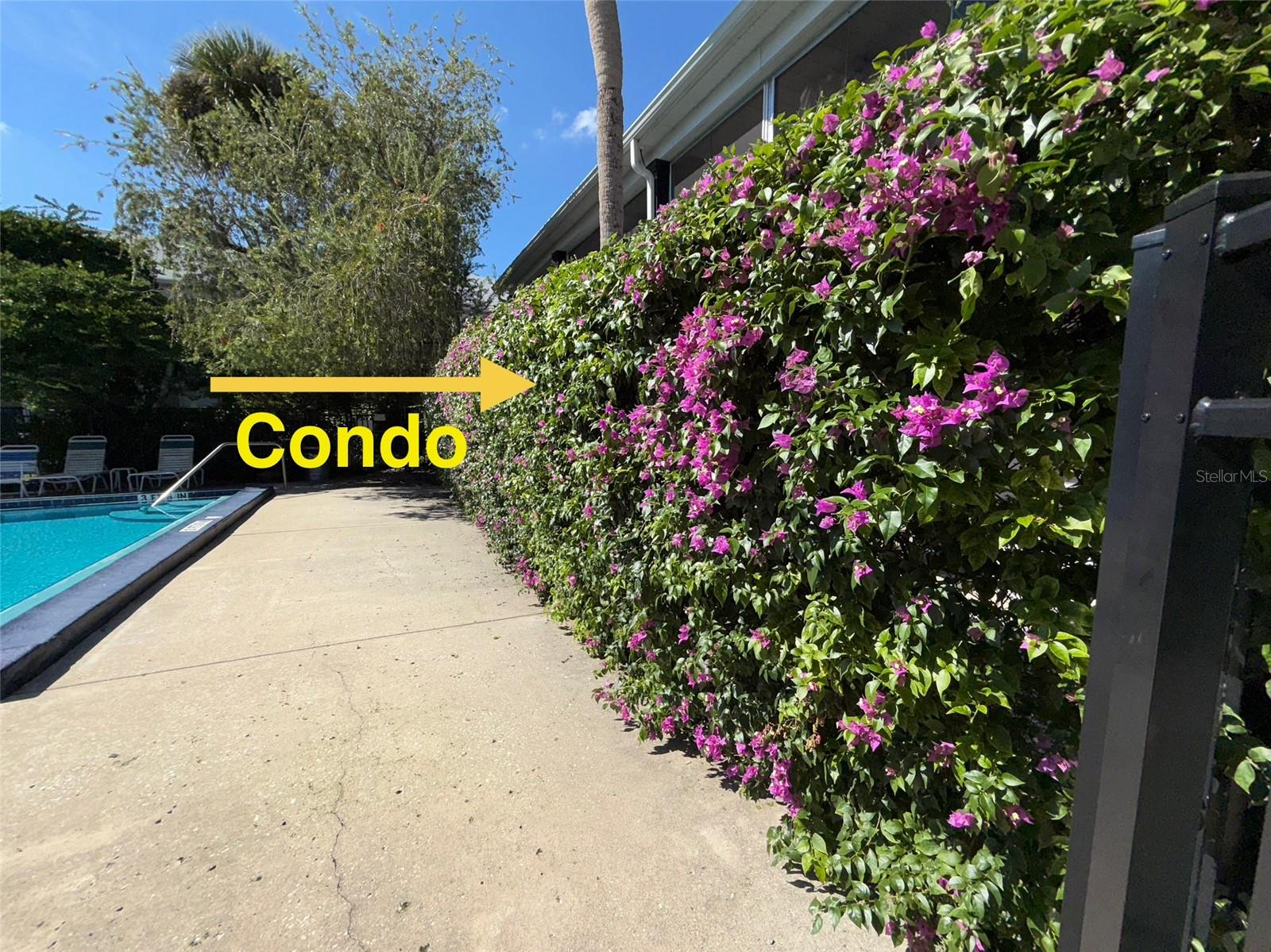 Image 14 of 24 For 1250 Denning #122 Street 00122