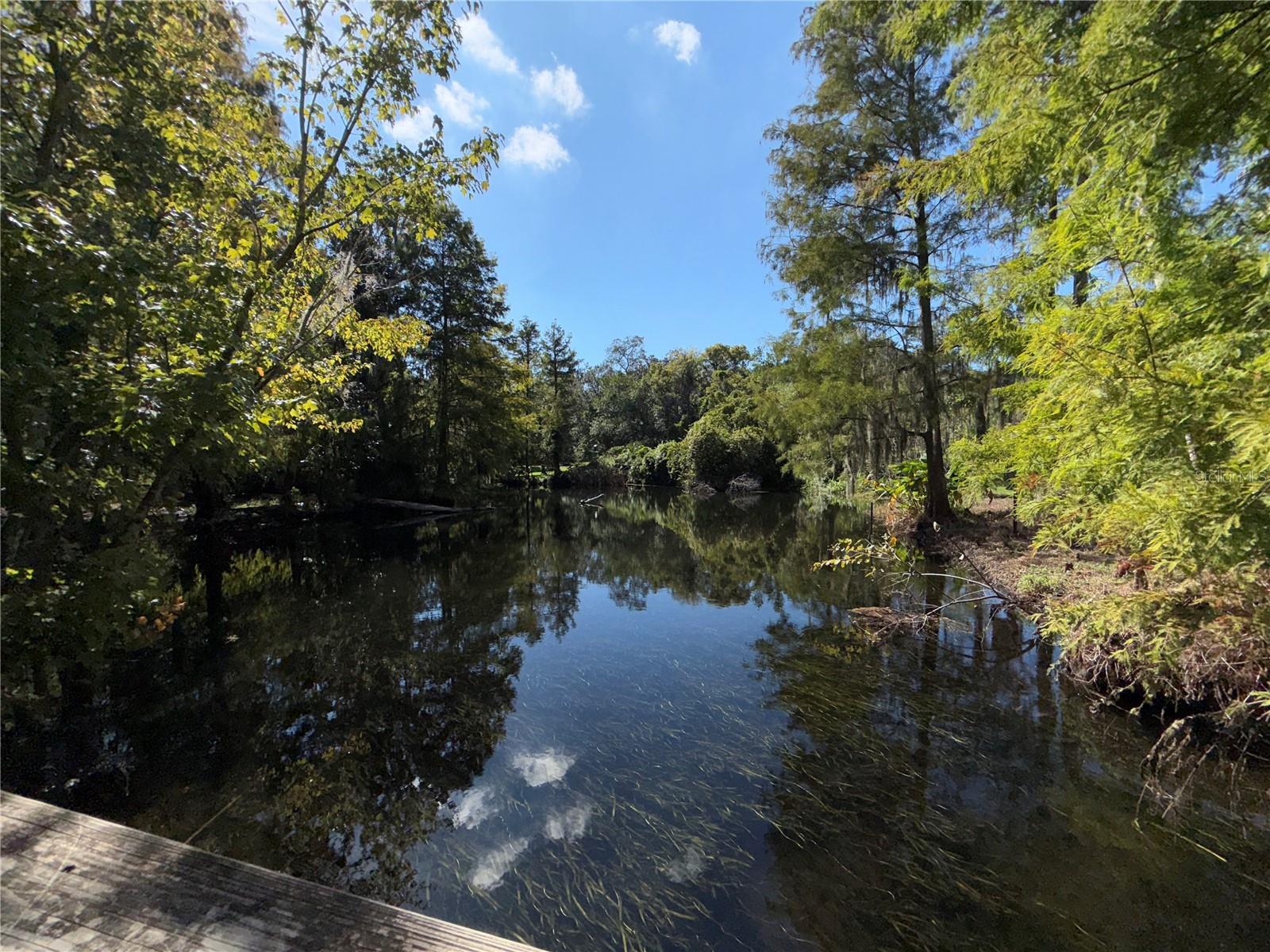 Image 19 of 24 For 1250 Denning #122 Street 00122