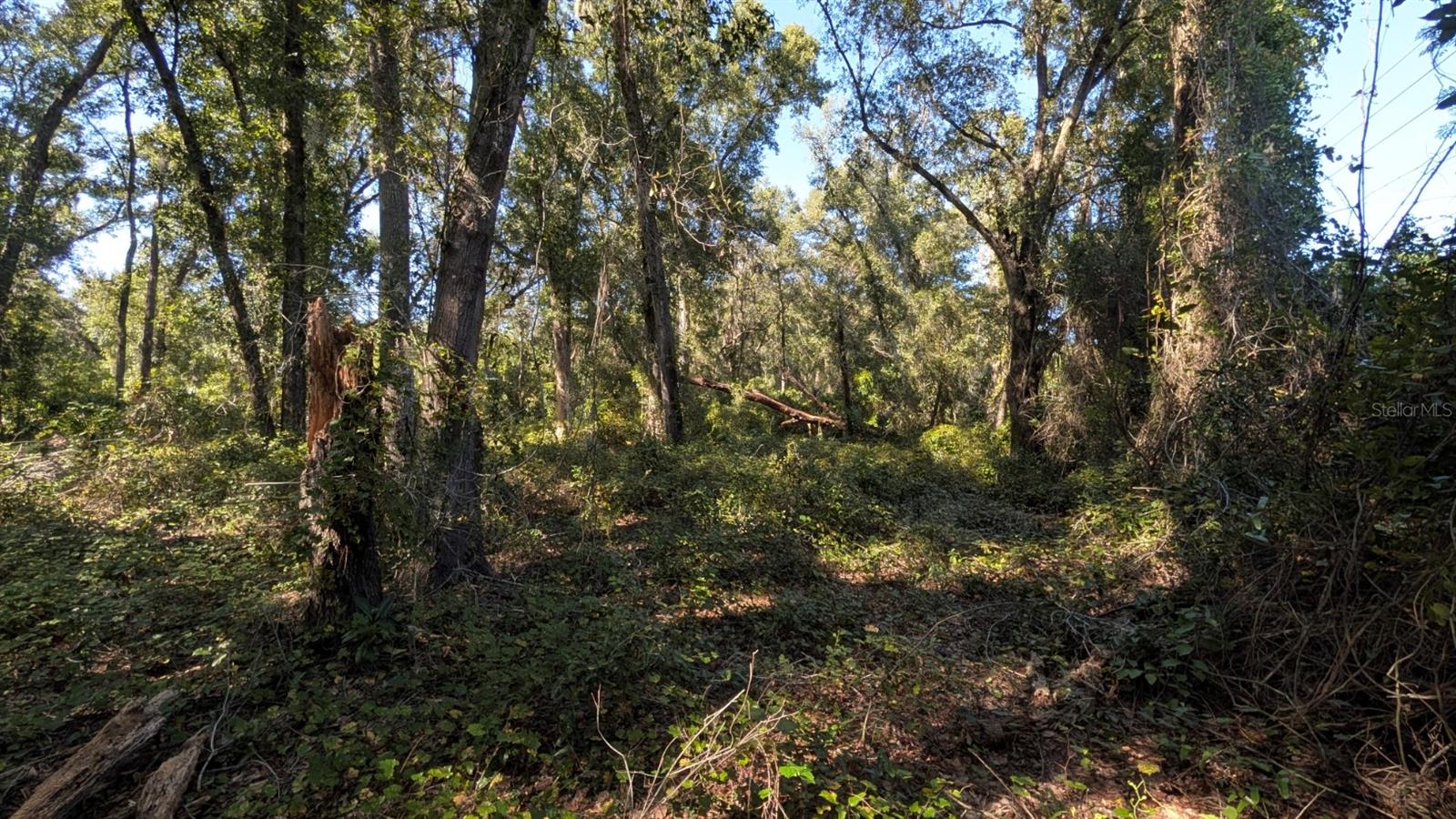 Image 6 of 23 For 2500 Plymouth Sorrento Road