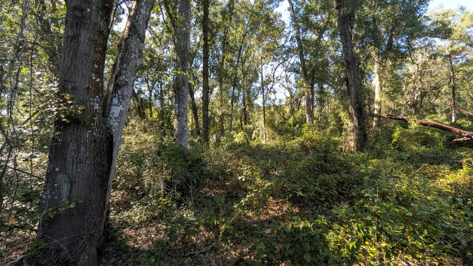 Image 7 of 23 For 2500 Plymouth Sorrento Road