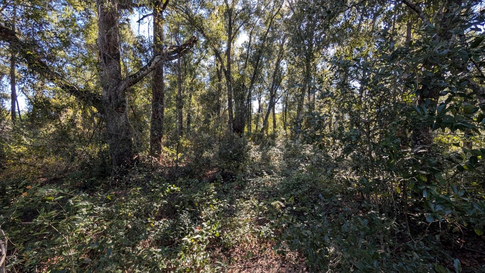 Image 8 of 23 For 2500 Plymouth Sorrento Road