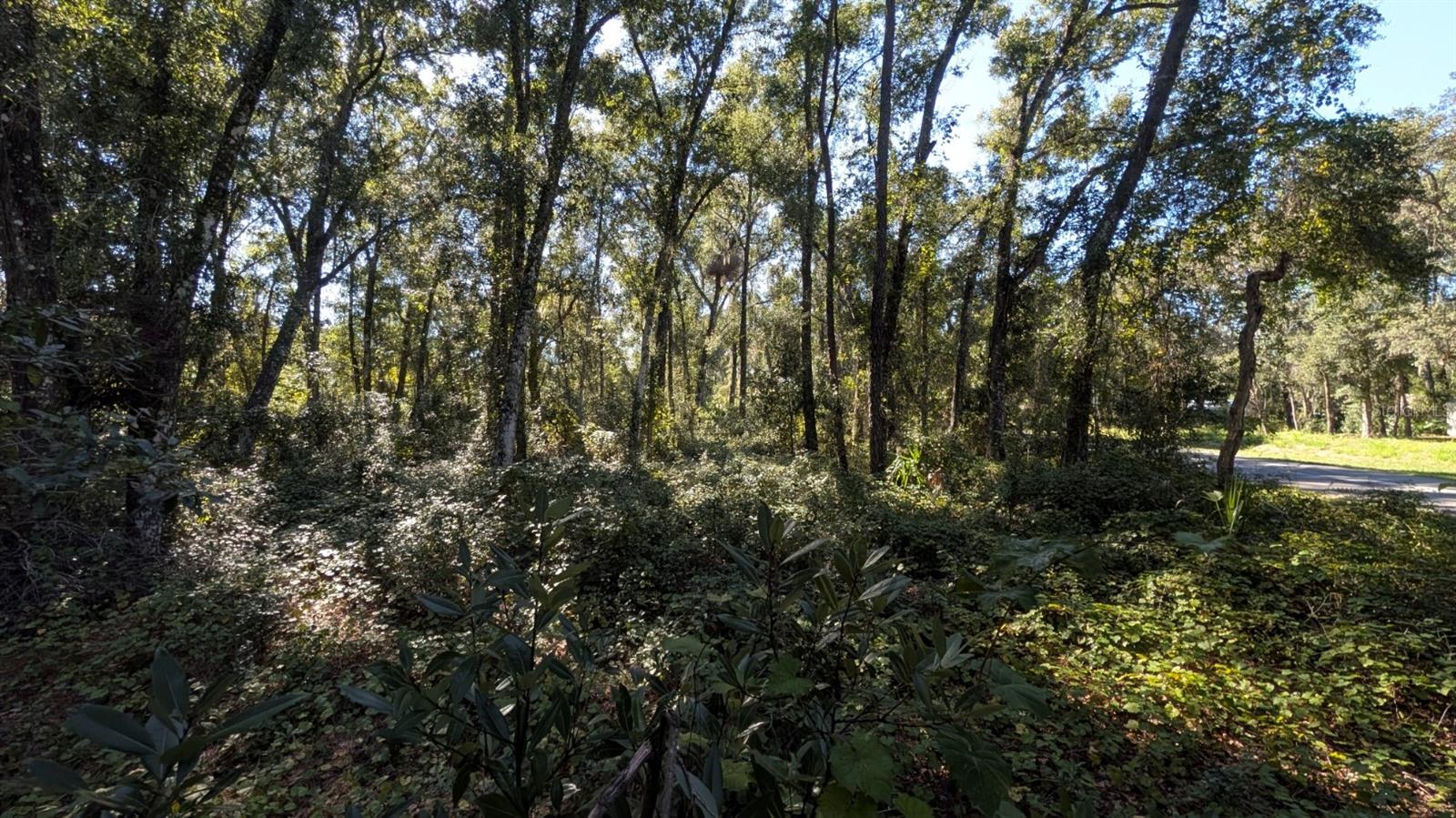 Image 9 of 23 For 2500 Plymouth Sorrento Road