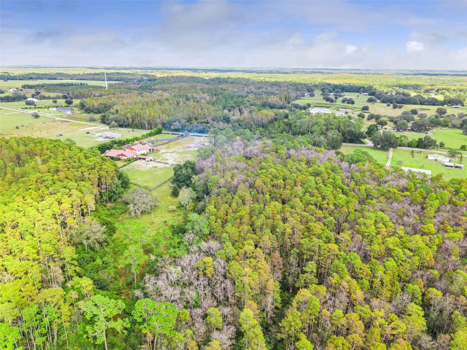 Image 11 of 19 For 8449 Bay Lake Road