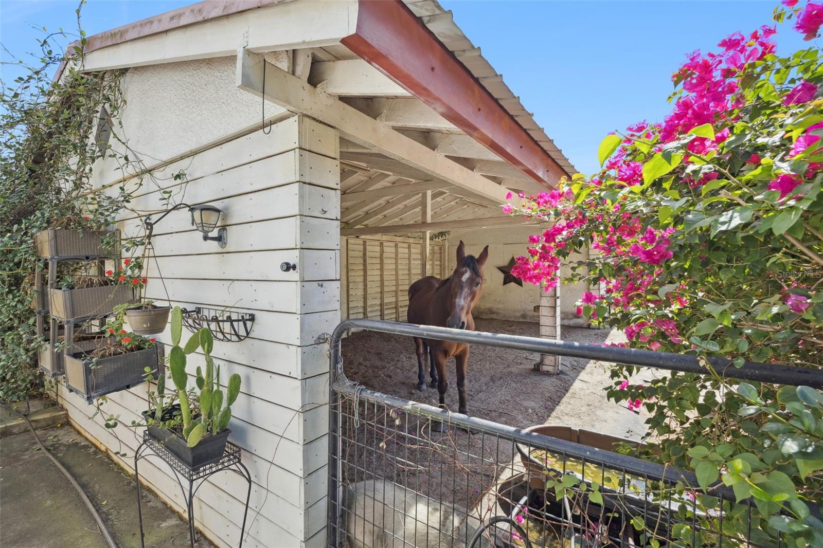 Image 47 of 62 For 8515 Bay Lake Road