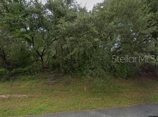 Details for 16593 31st Circle, OCALA, FL 34473