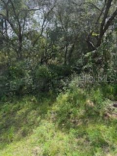 Image 2 of 4 For 16593 31st Circle