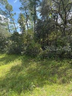 Image 3 of 4 For 16593 31st Circle