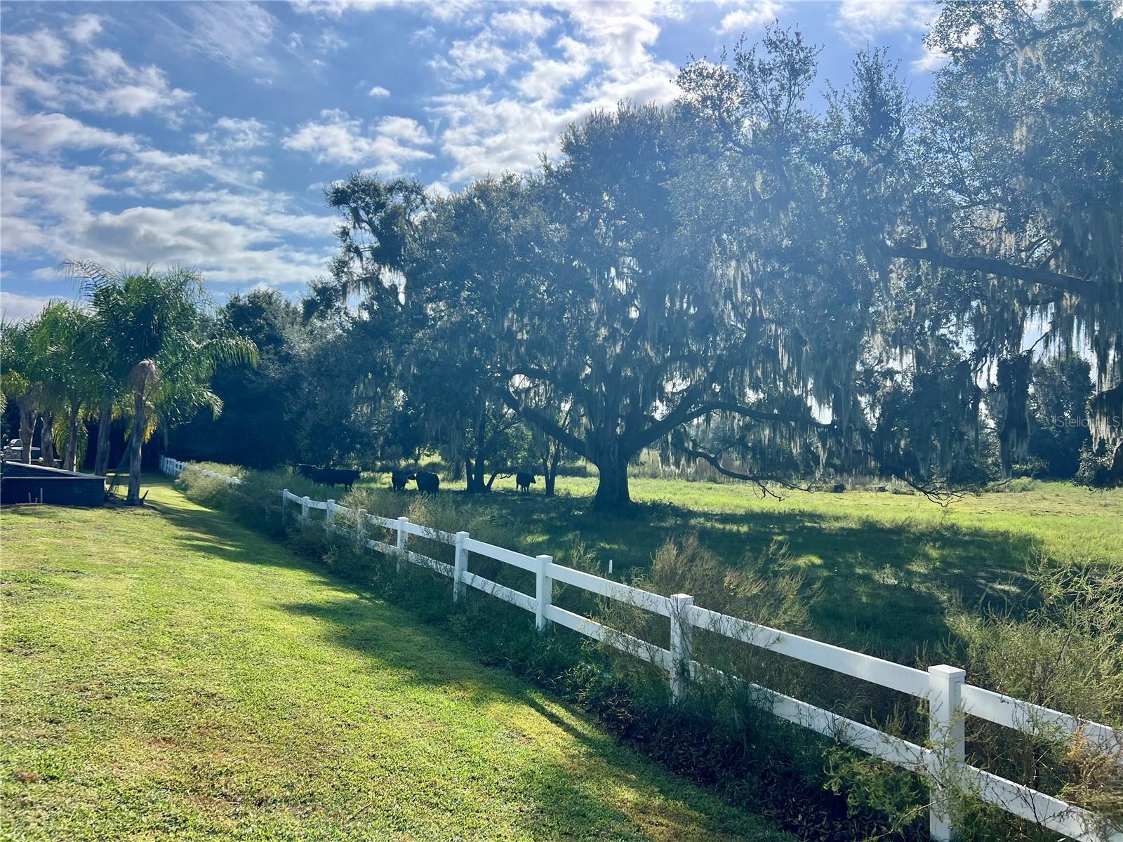 Image 15 of 44 For 9669 49th Terrace