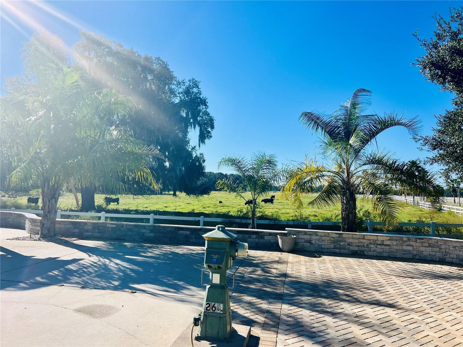 Image 7 of 44 For 9669 49th Terrace