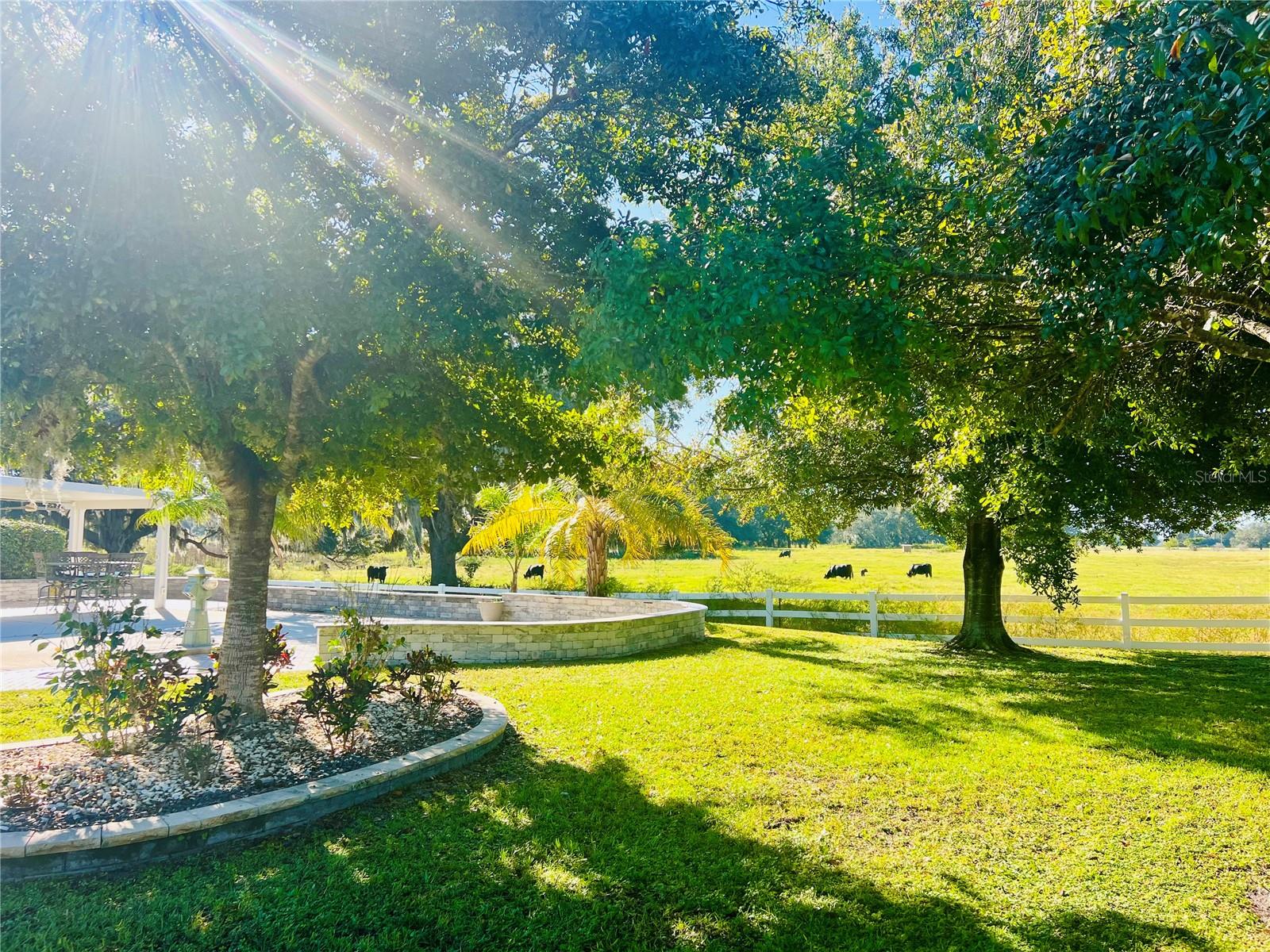 Image 8 of 44 For 9669 49th Terrace