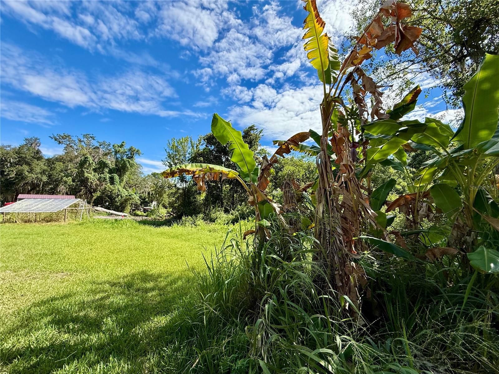 Image 11 of 26 For 696 Sunset Drive