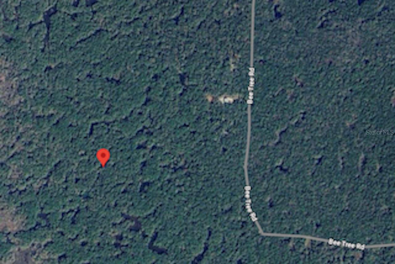 Details for  Tbd  , GULF HAMMOCK, FL 32639
