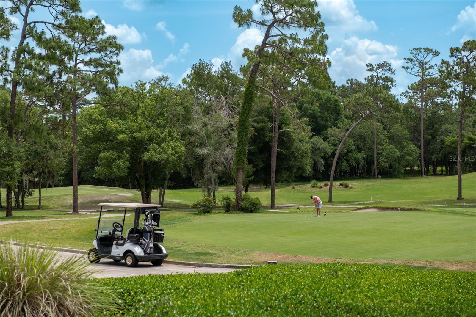 Image 31 of 36 For 179 Birchmont Drive