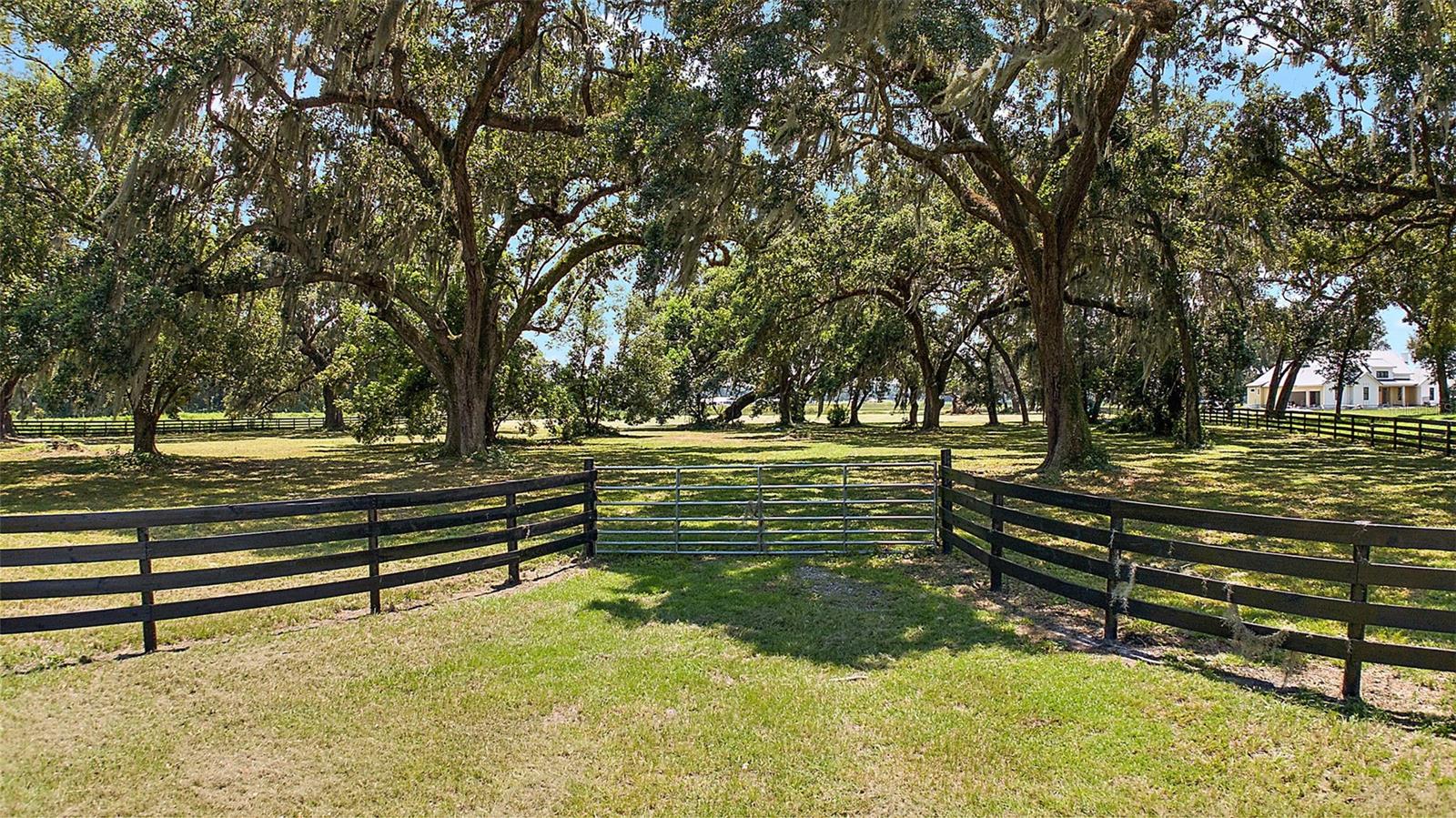 Details for  Co Rd 204  , OXFORD, FL 34484