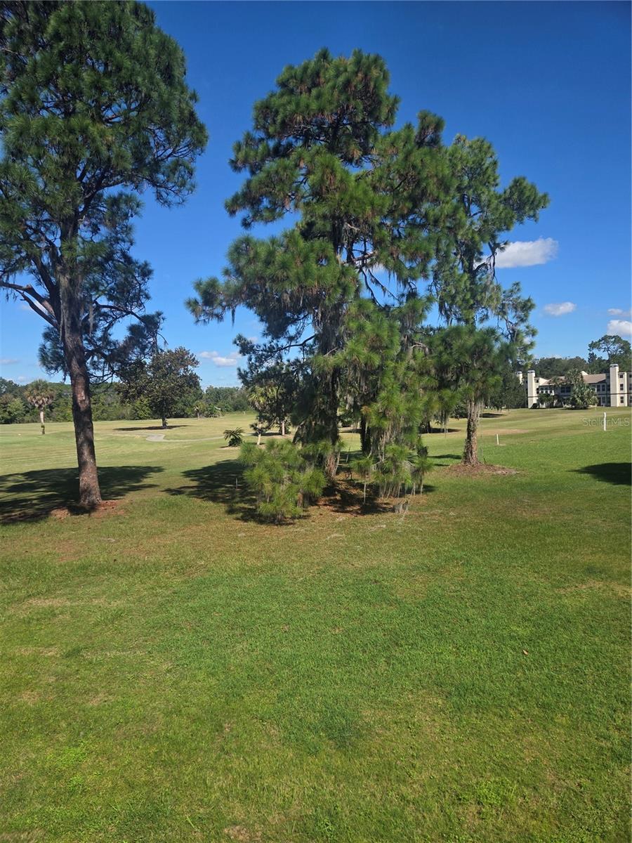 Image 9 of 21 For 23204 Sandalwood Drive 23204