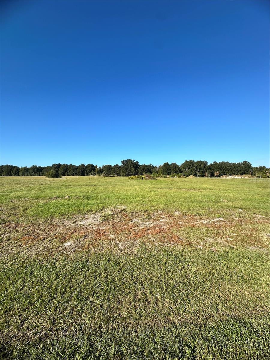 Image 3 of 4 For 38793 Ranch Gate Boulevard