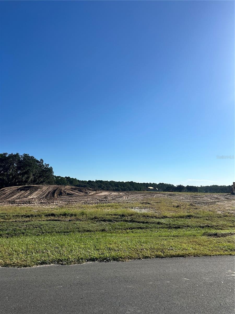 Details for 38404 Wooded Meadow Drive, UMATILLA, FL 32784