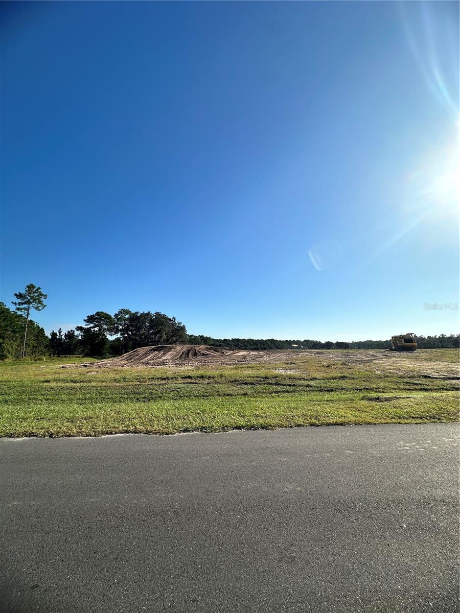 Image 2 of 5 For 38404 Wooded Meadow Drive