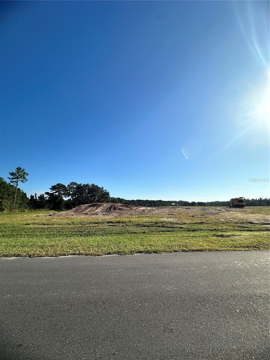 Image 3 of 5 For 38404 Wooded Meadow Drive
