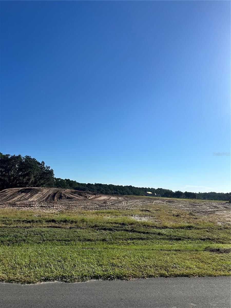 Image 4 of 5 For 38404 Wooded Meadow Drive
