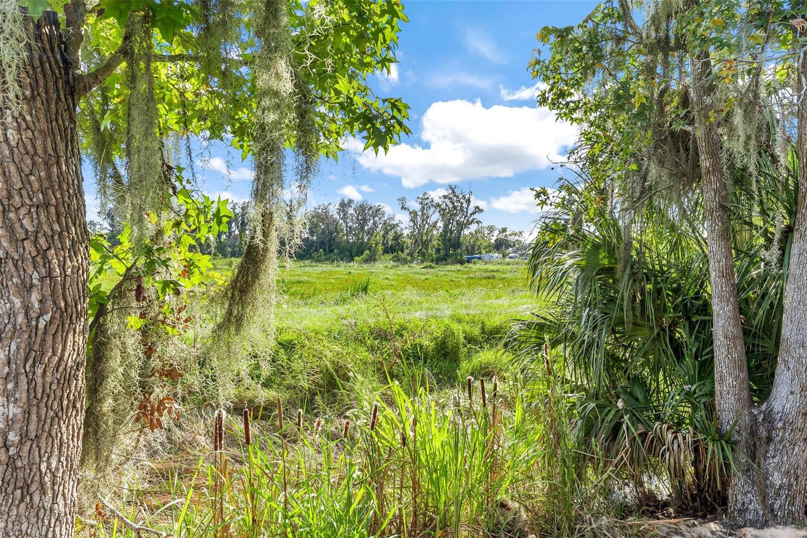 Image 36 of 40 For 944 Belle Oak Drive