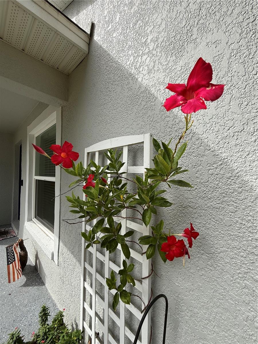 Image 23 of 25 For 913 Powell Street