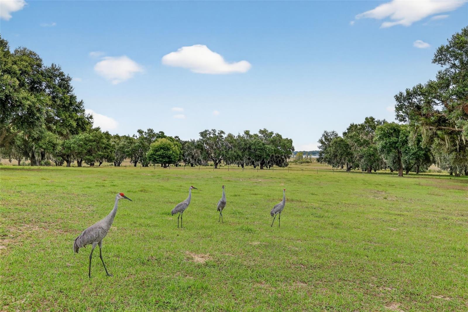 Image 13 of 59 For 8810 County Road 561