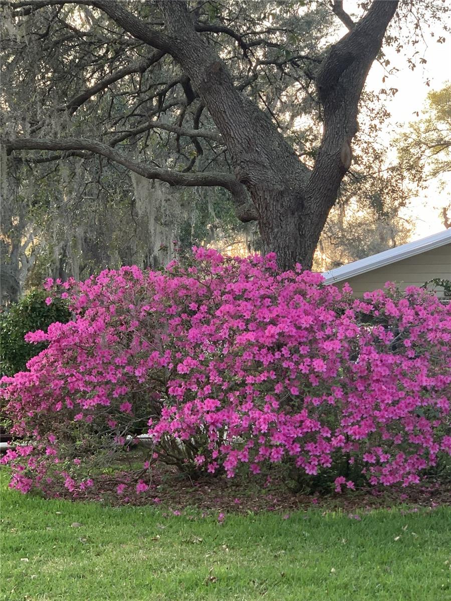 Image 40 of 41 For 9856 Fairway Circle