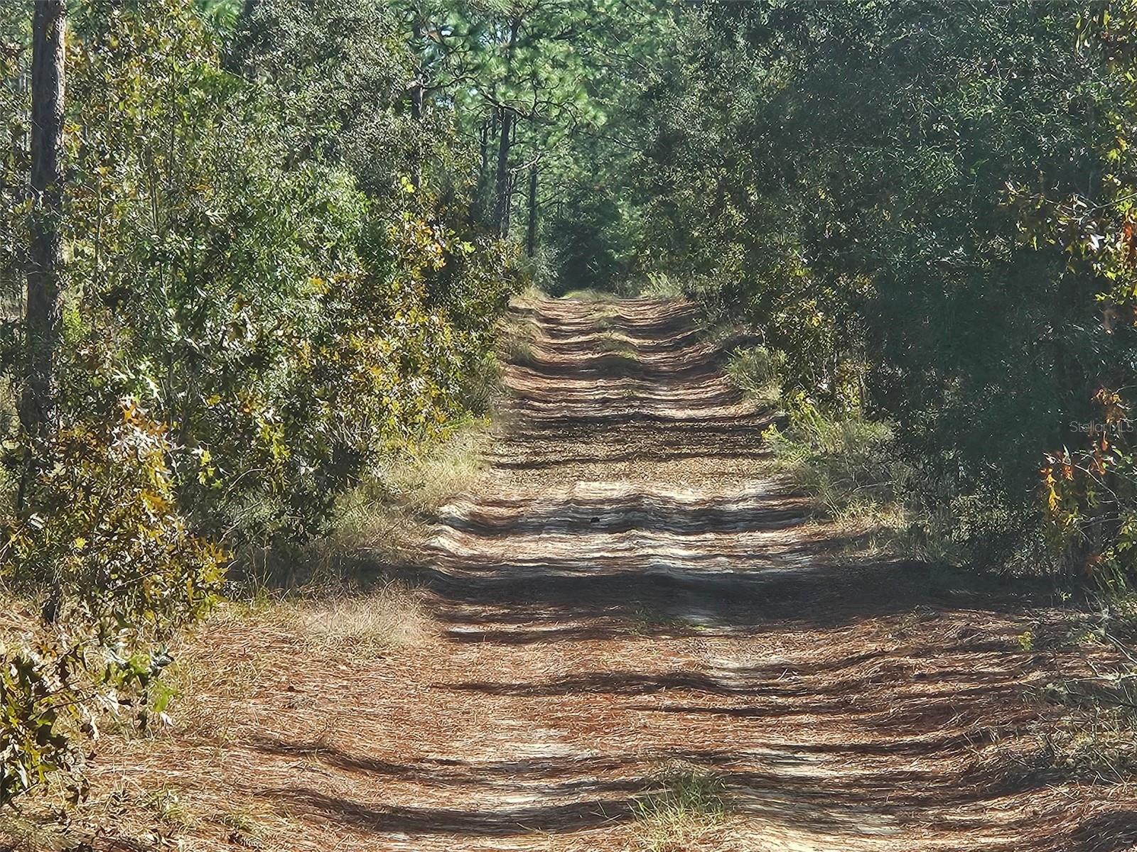 Details for Xxxx 92nd Place Sw, DUNNELLON, FL 34432