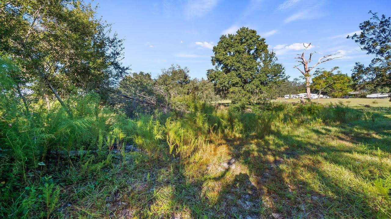 Image 14 of 24 For 23158 Loop Road