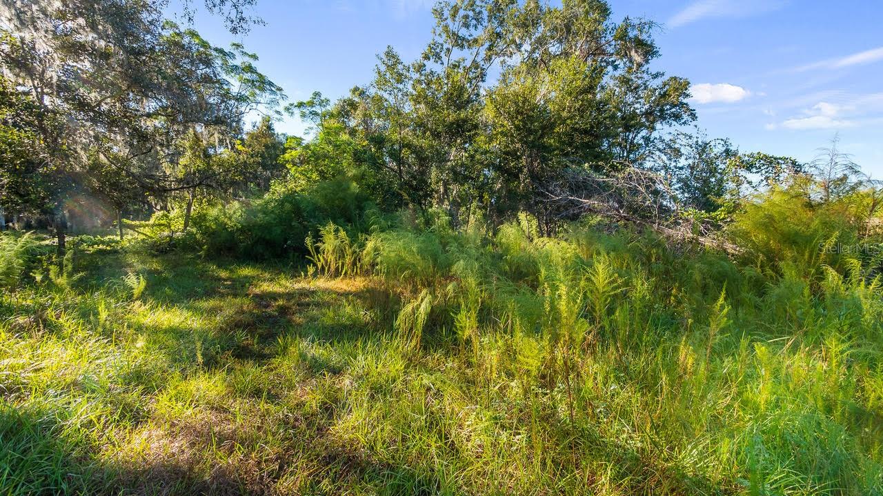 Image 15 of 24 For 23158 Loop Road