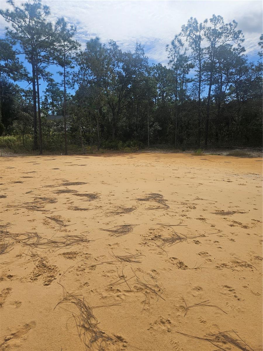 Details for 33216 Teakwood Drive, WEBSTER, FL 33597