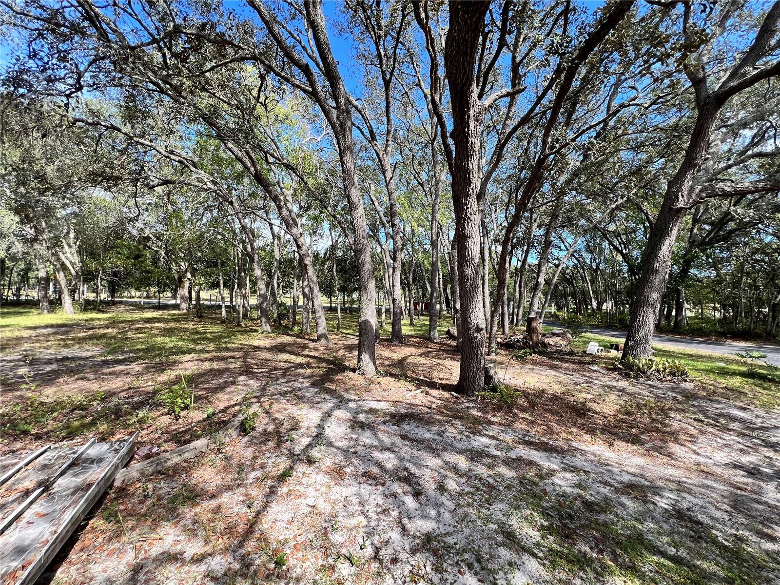 Image 20 of 38 For 4254 Meadow Street