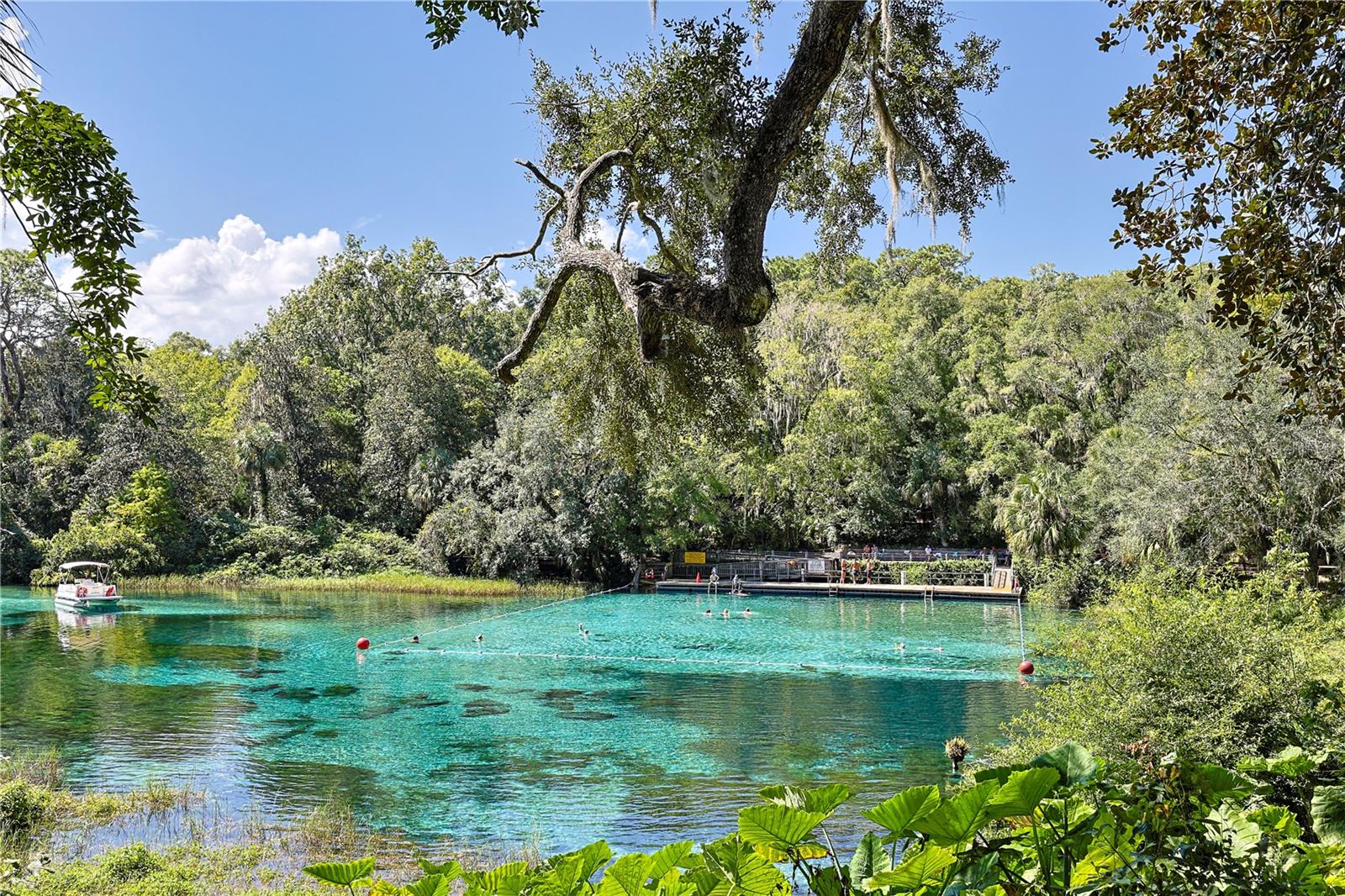 Image 34 of 36 For 13155 95th Street