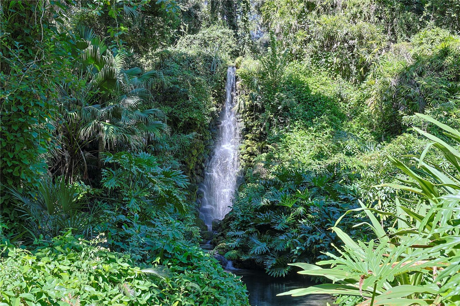 Image 36 of 36 For 13155 95th Street