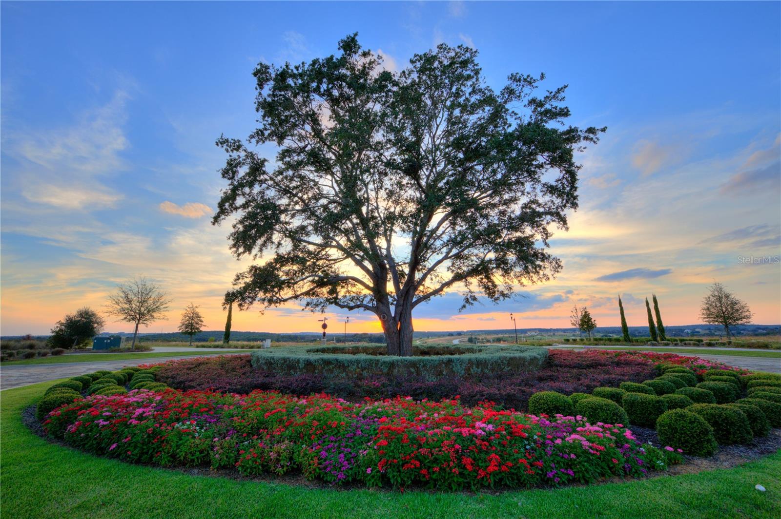 Image 6 of 7 For 16251 Vetta Drive