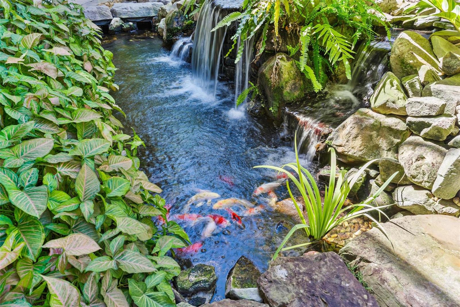 Image 8 of 58 For 38633 Lakeview Walk