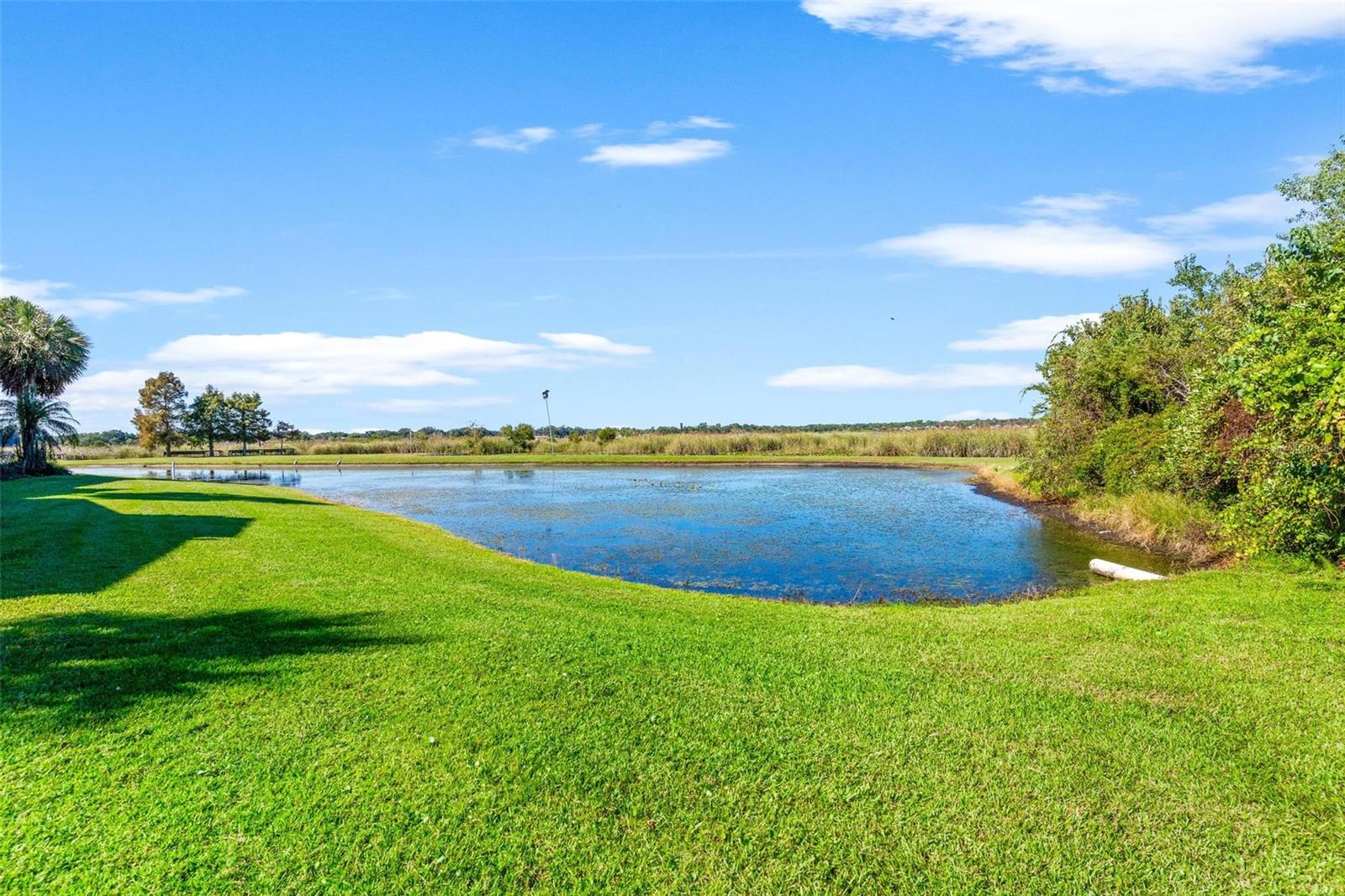 Image 21 of 46 For 4300 Baywood Boulevard B106