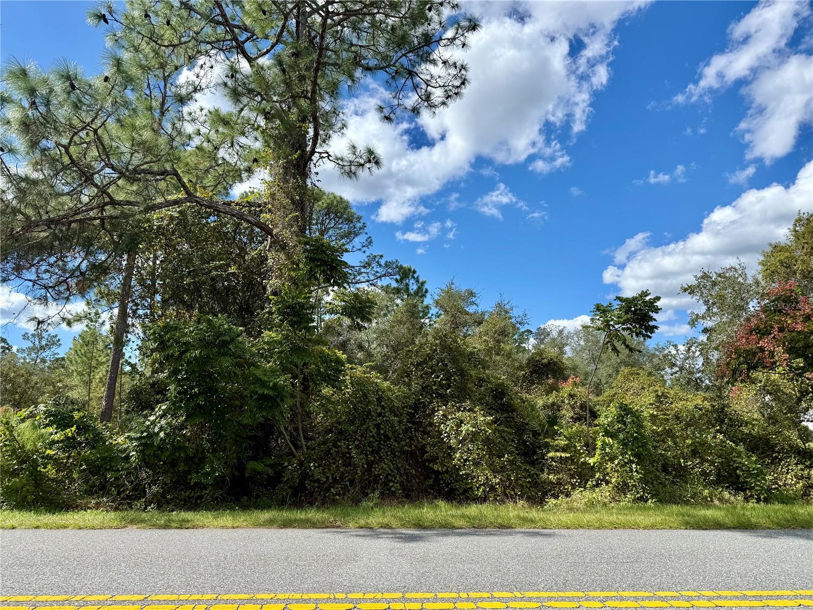 Details for Lot 11 Royal Trails Road, EUSTIS, FL 32726