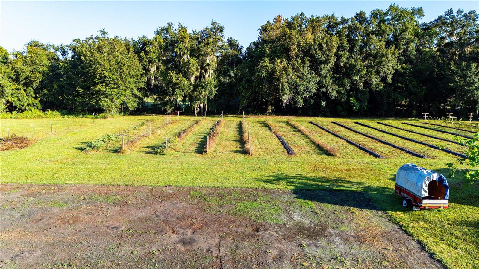 Image 46 of 54 For 12112 Cr 727