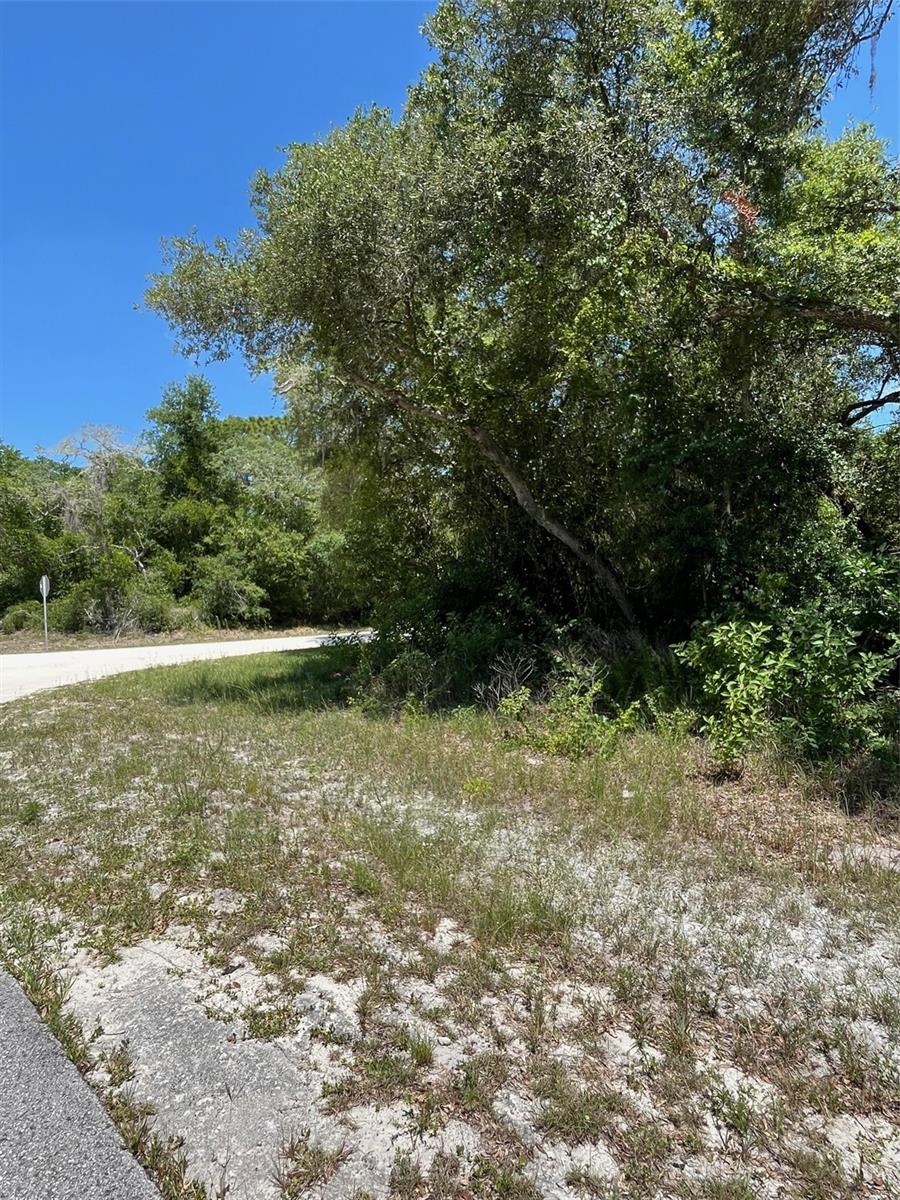 Image 2 of 5 For 35139 Umbrella Rock