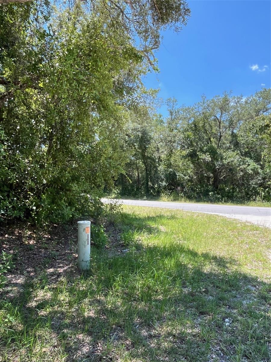 Image 4 of 5 For 35139 Umbrella Rock