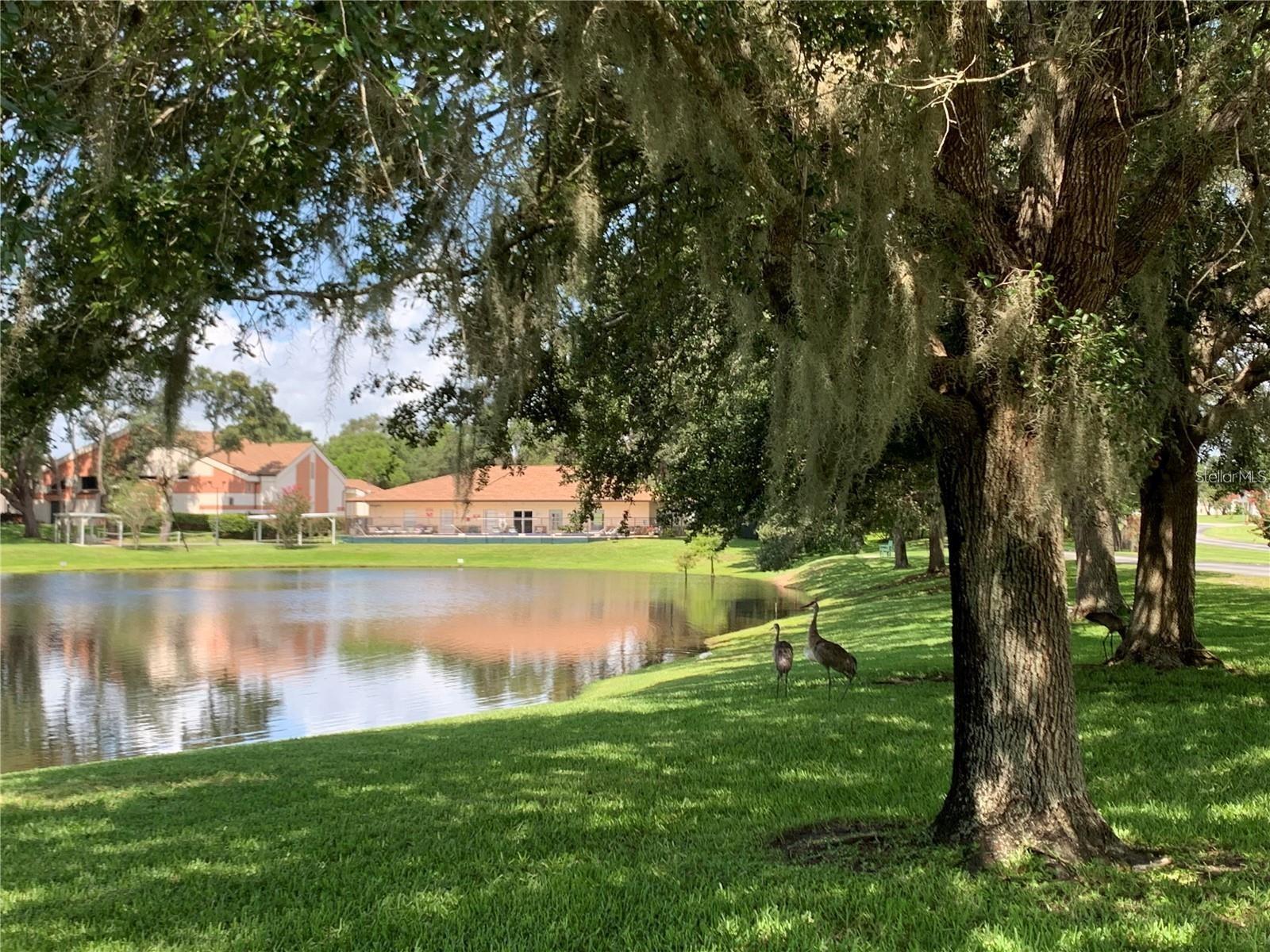 Image 51 of 57 For 10 Brigadoon Circle