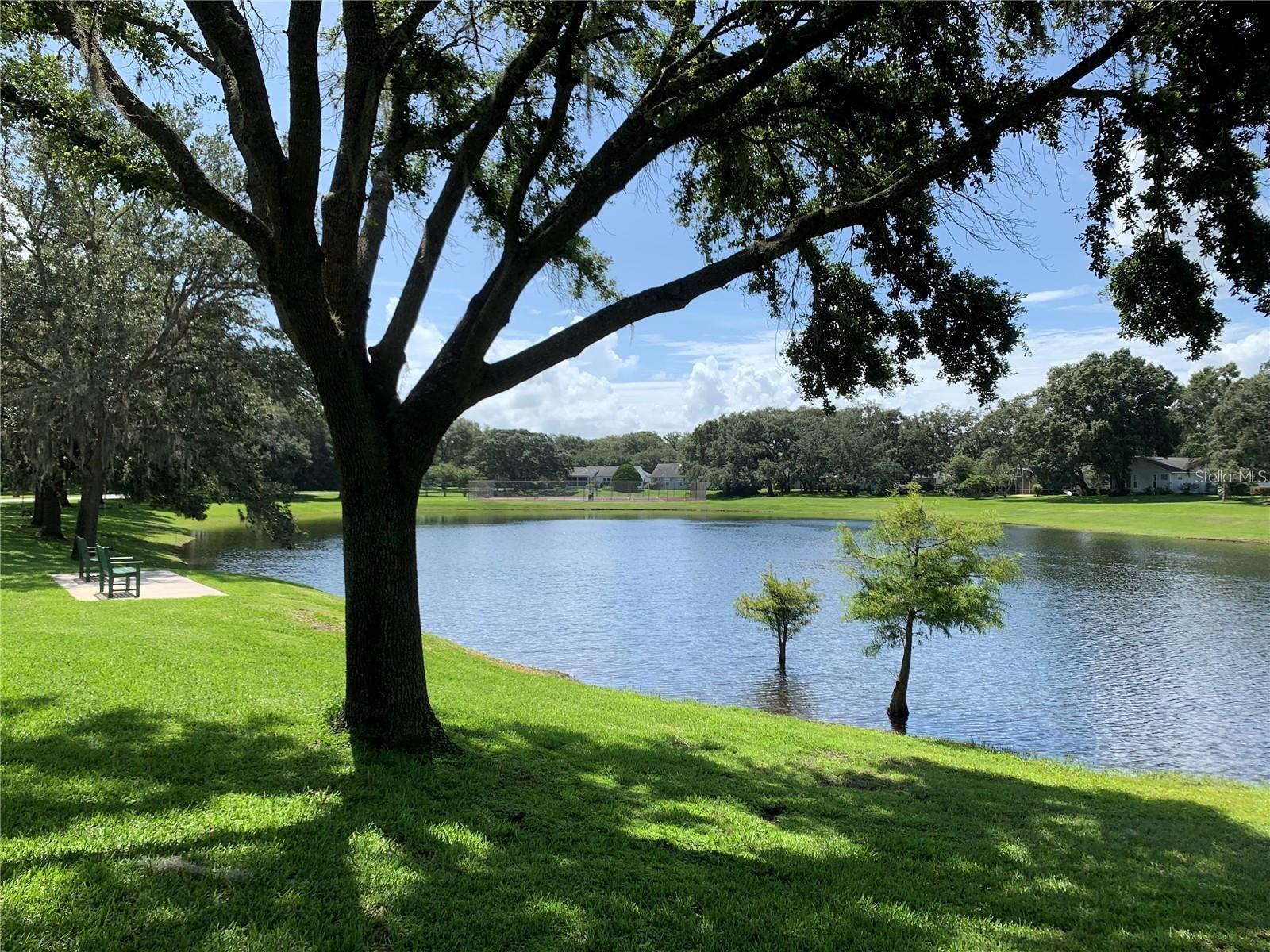 Image 53 of 57 For 10 Brigadoon Circle