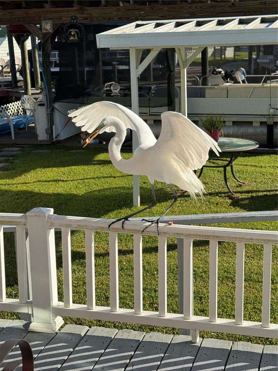 Image 14 of 27 For 1074 Front Street 51